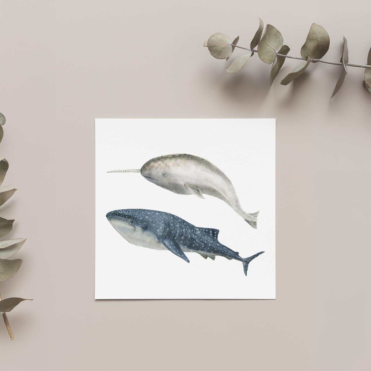 Big Whale Wall Decals Decals Urbanwalls Standard Wall Sample Blue