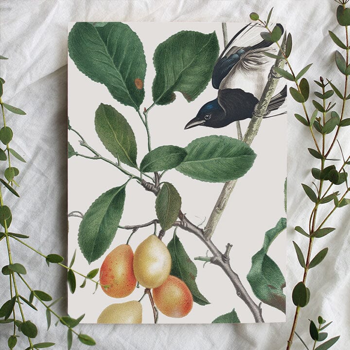 Birds of Paradise Wallpaper Wallpaper Urbanwalls