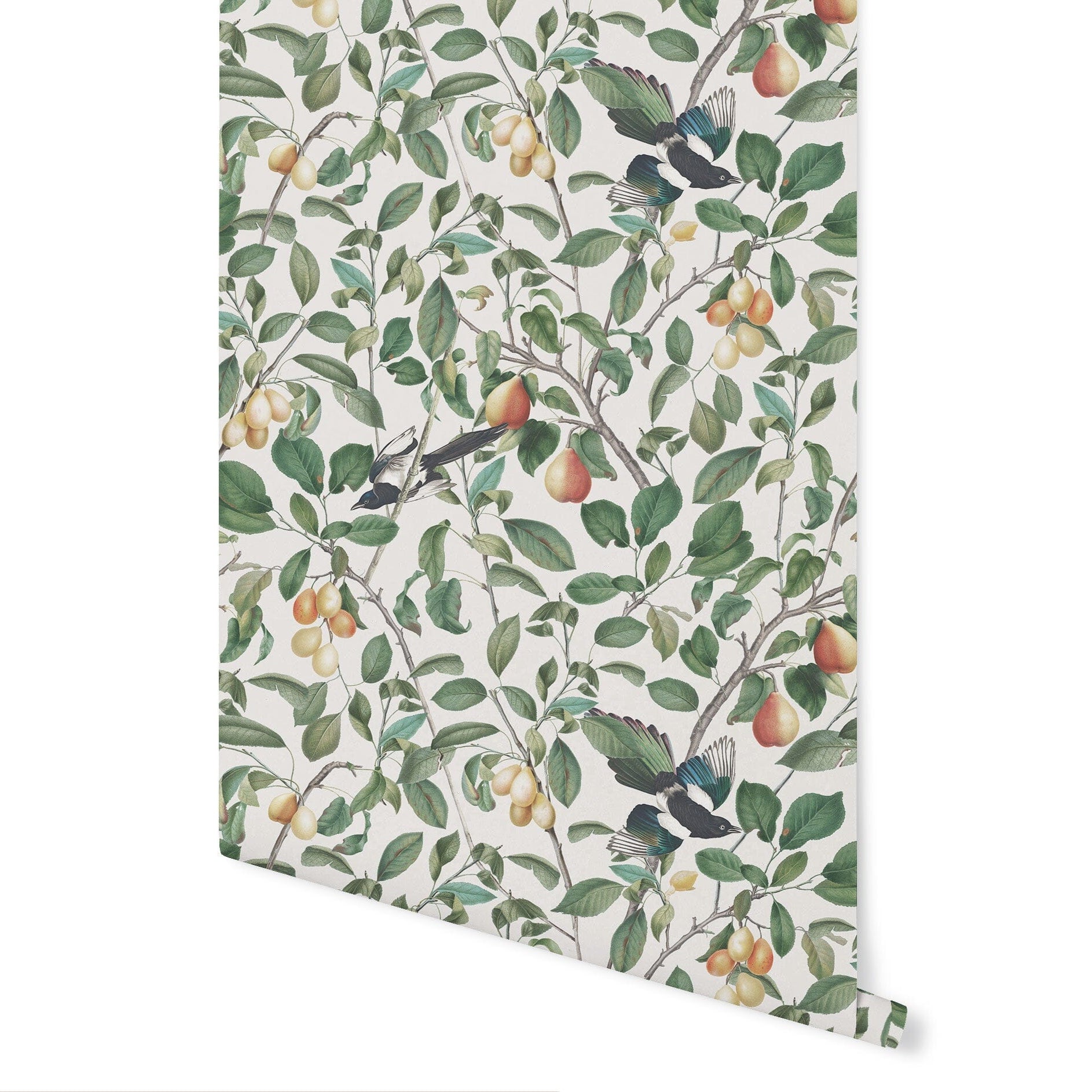 Birds of Paradise Wallpaper Wallpaper Urbanwalls