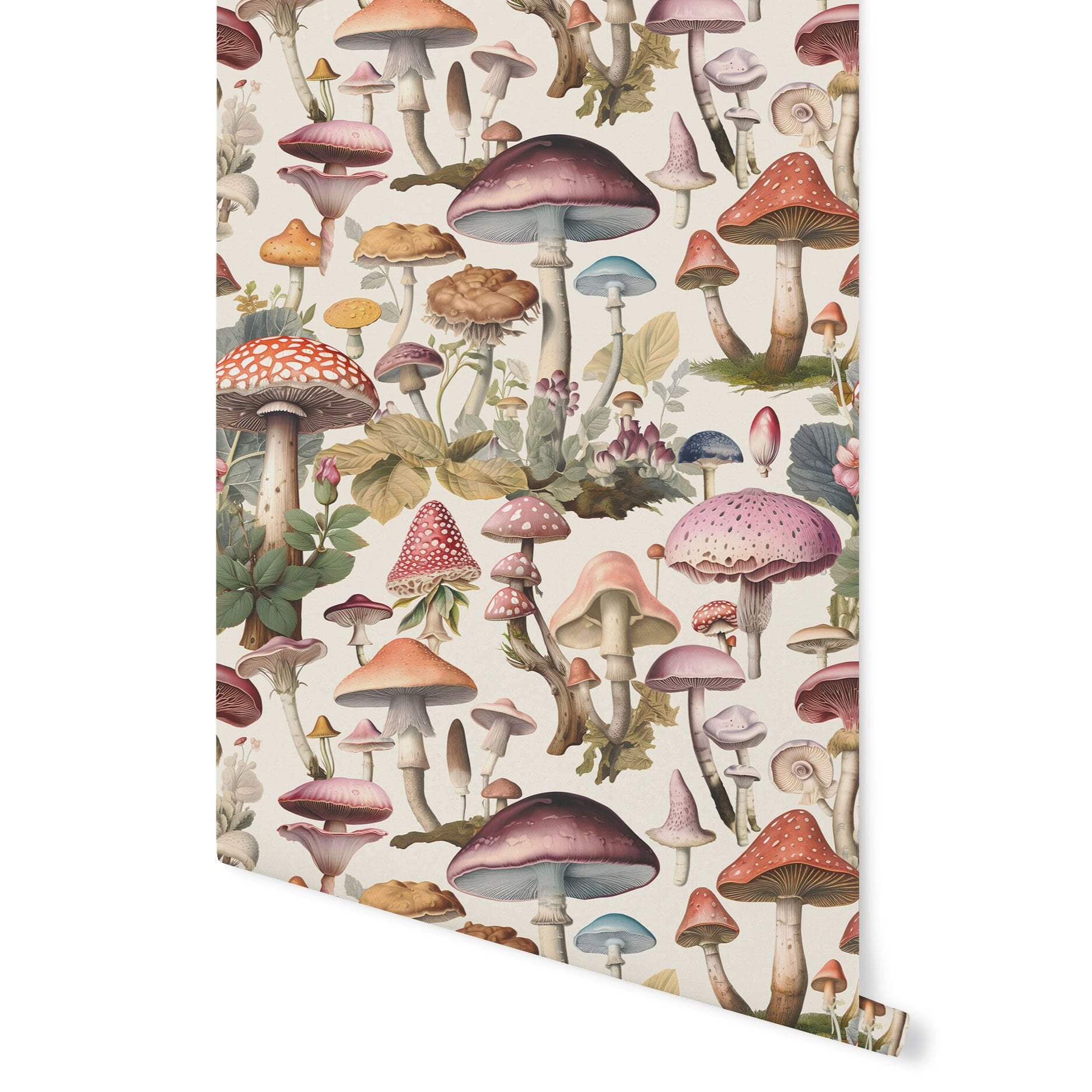 Mushroom Wallpaper Wallpaper Urbanwalls