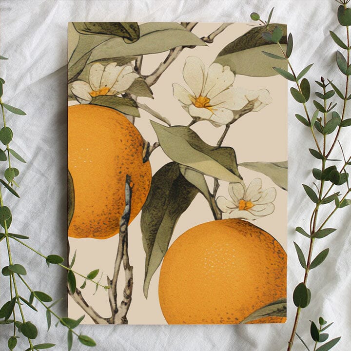Tangerine Wallpaper Wallpaper Urbanwalls