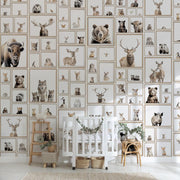Woodland Animal Wallpaper Murals Urbanwalls