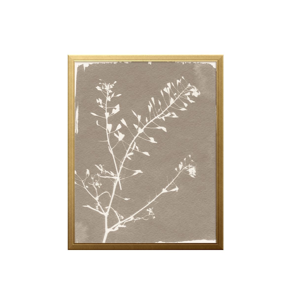 Botanical Sun Art Print Prints Urbanwalls