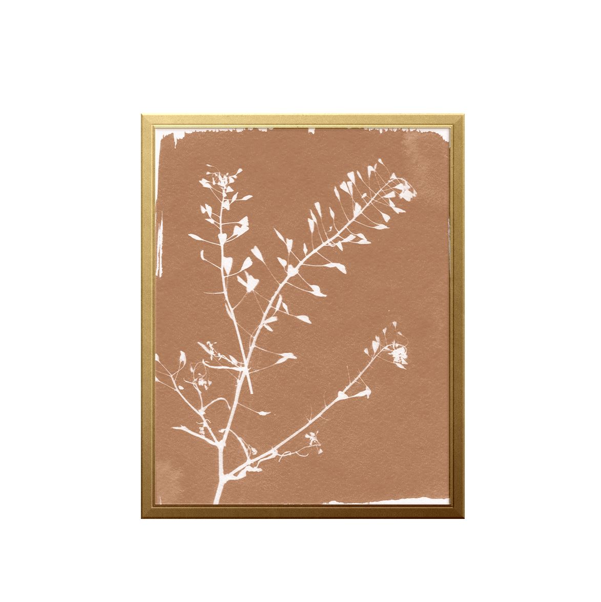 Botanical Sun Art Print Prints Urbanwalls
