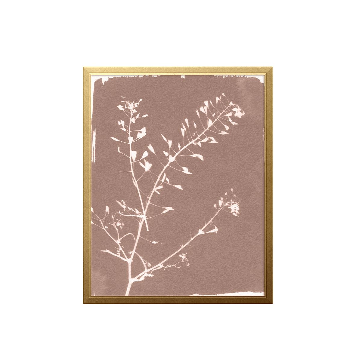 Botanical Sun Art Print Prints Urbanwalls