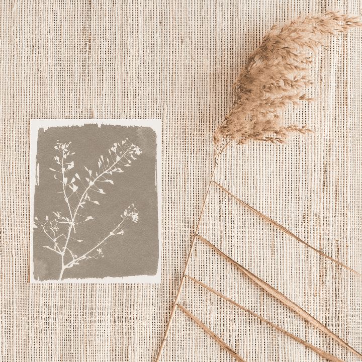 Botanical Sun Art Print Prints Urbanwalls