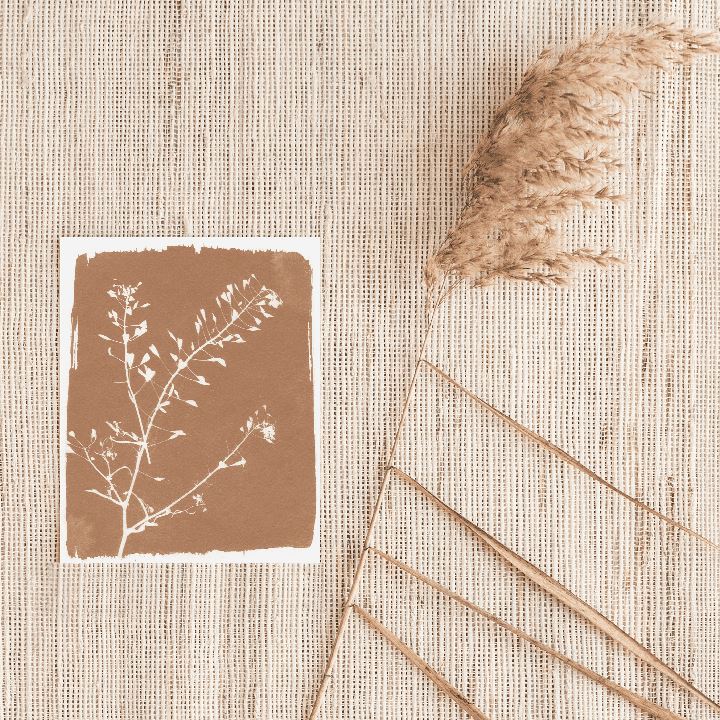 Botanical Sun Art Print Prints Urbanwalls