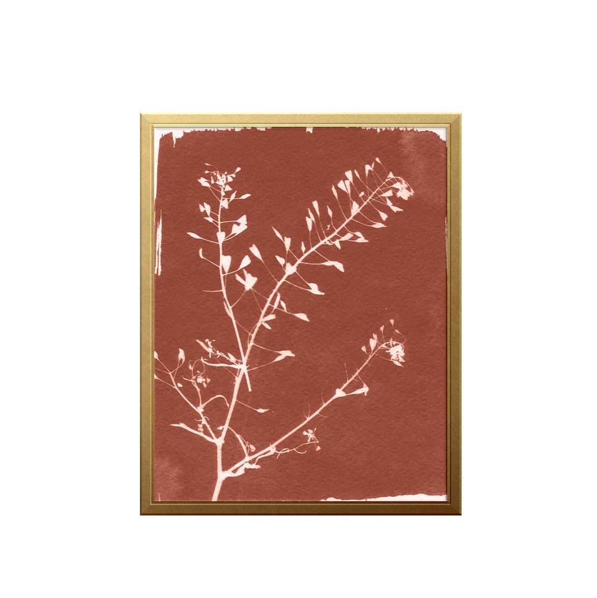 Botanical Sun Art Print Prints Urbanwalls