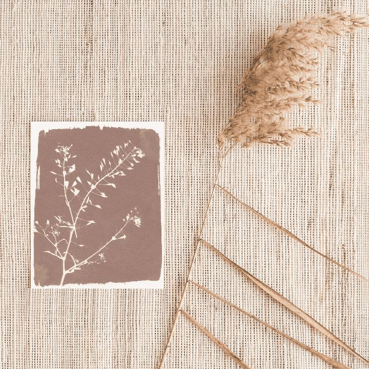 Botanical Sun Art Print Prints Urbanwalls