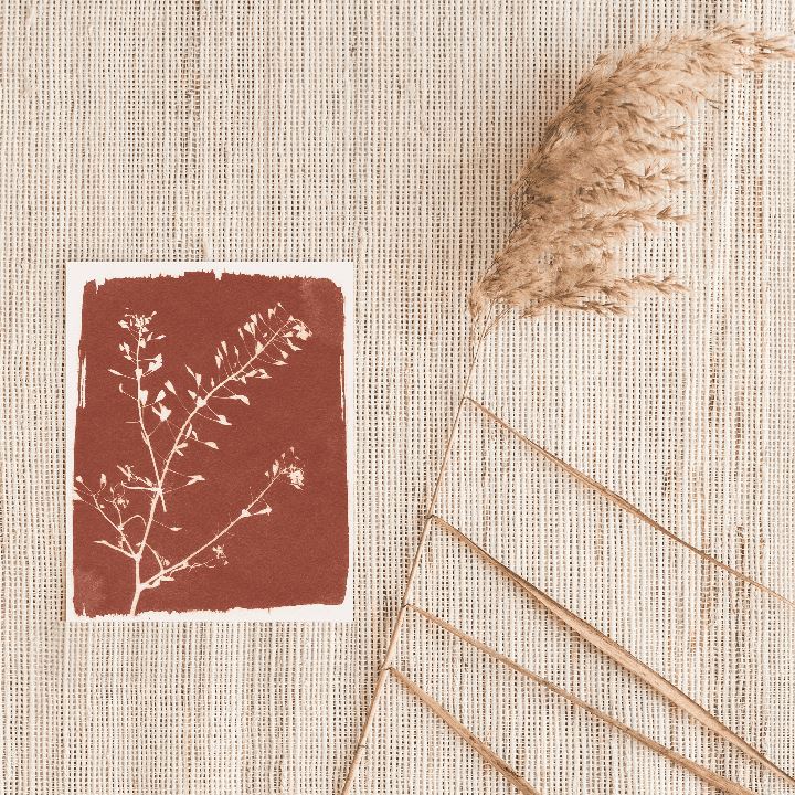 Botanical Sun Art Print Prints Urbanwalls