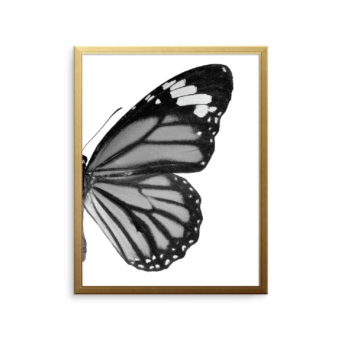 Butterfly Right Art Print Prints Urbanwalls