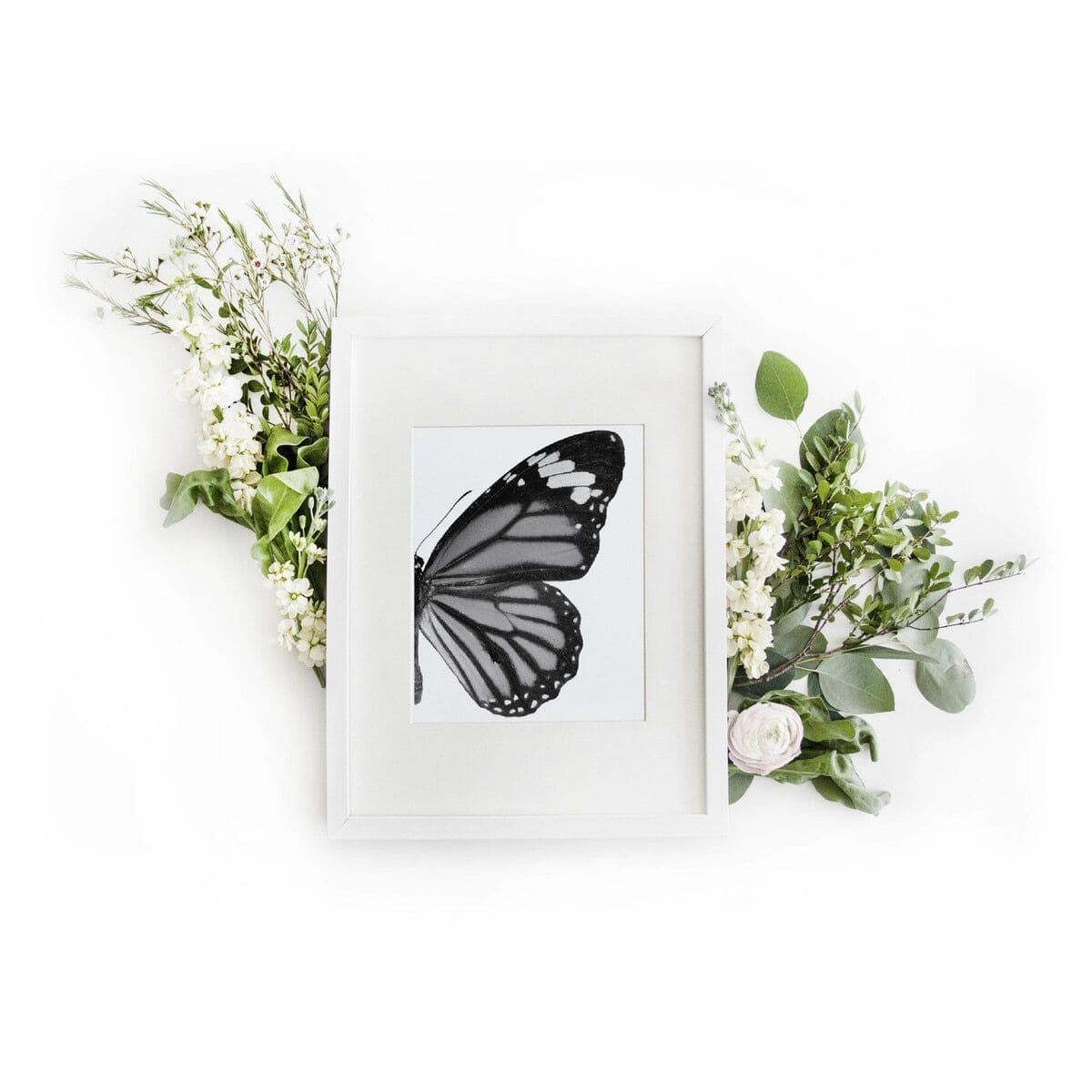 Butterfly Right Art Print Prints Urbanwalls