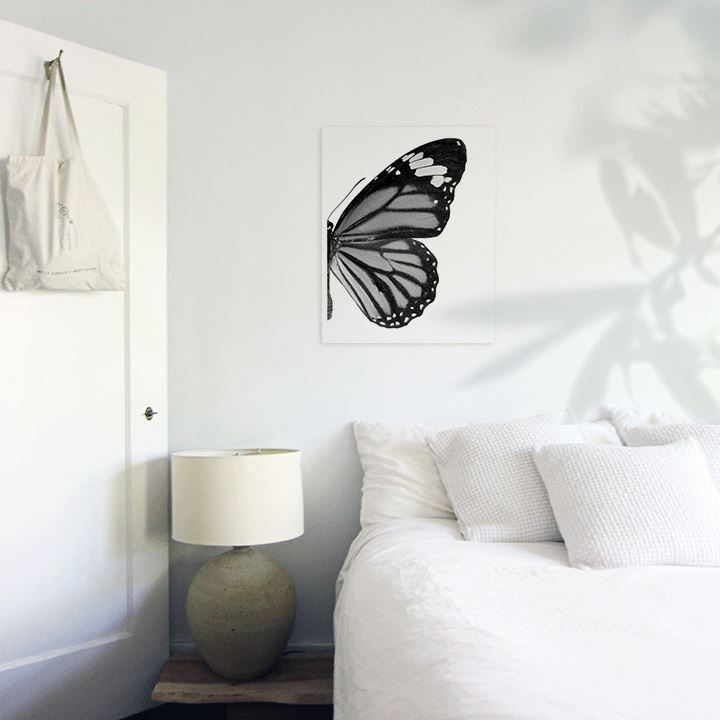 Butterfly Right Art Print Prints Urbanwalls Adhesive Canvas 8" x 10" 