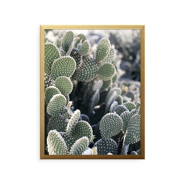 Cali Cactus Art Print Prints Urbanwalls