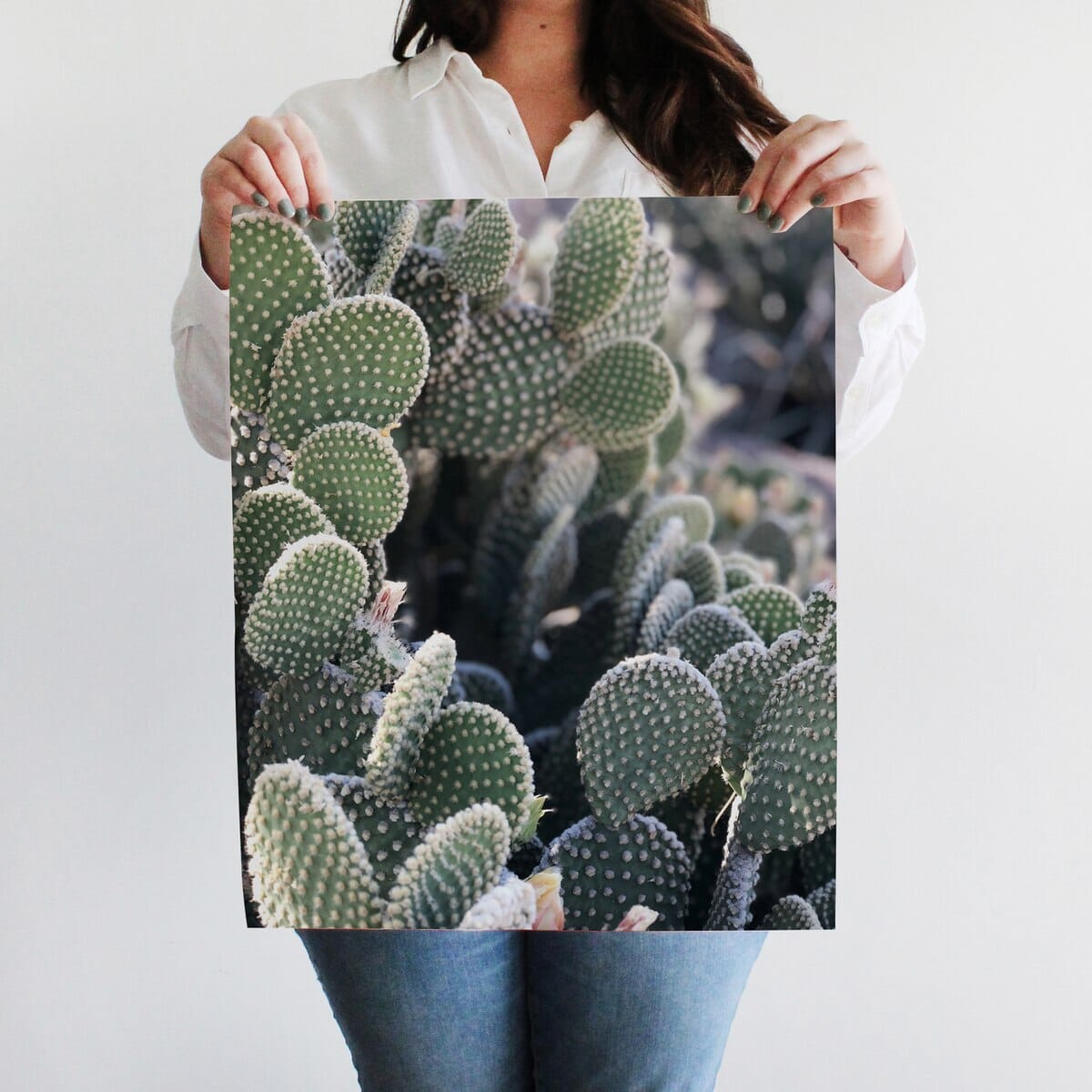 Cali Cactus Art Print Prints Urbanwalls