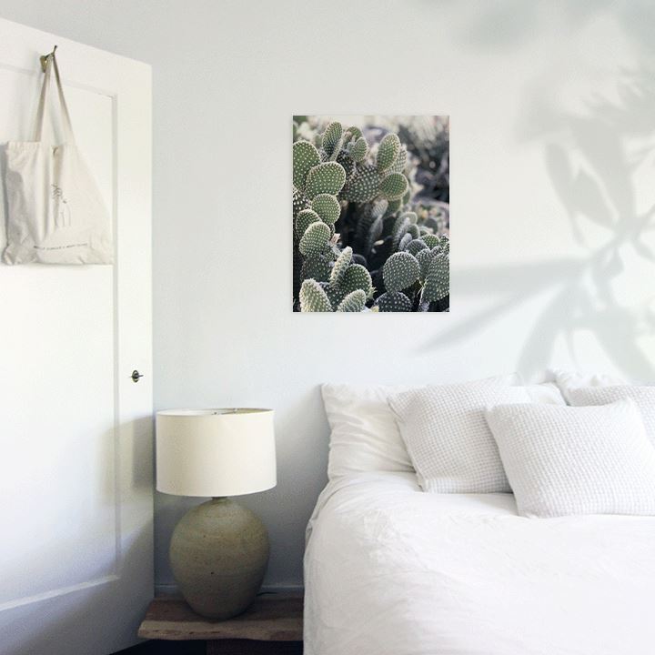 Cali Cactus Art Print Prints Urbanwalls Adhesive Canvas 8" x 10"