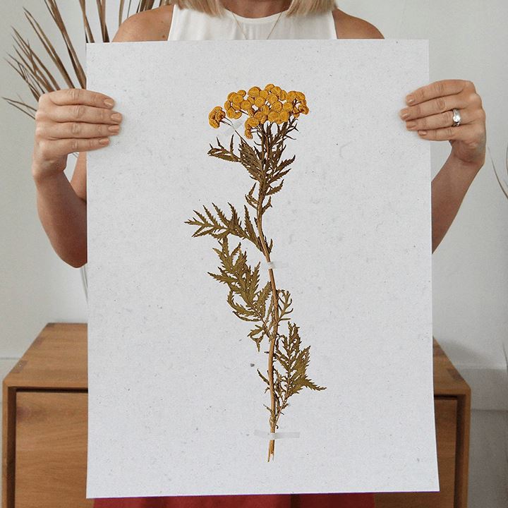 Devoted Art Print Prints Urbanwalls