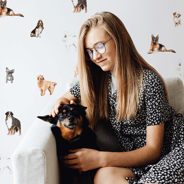 Dog Wall Decals Decals Urbanwalls