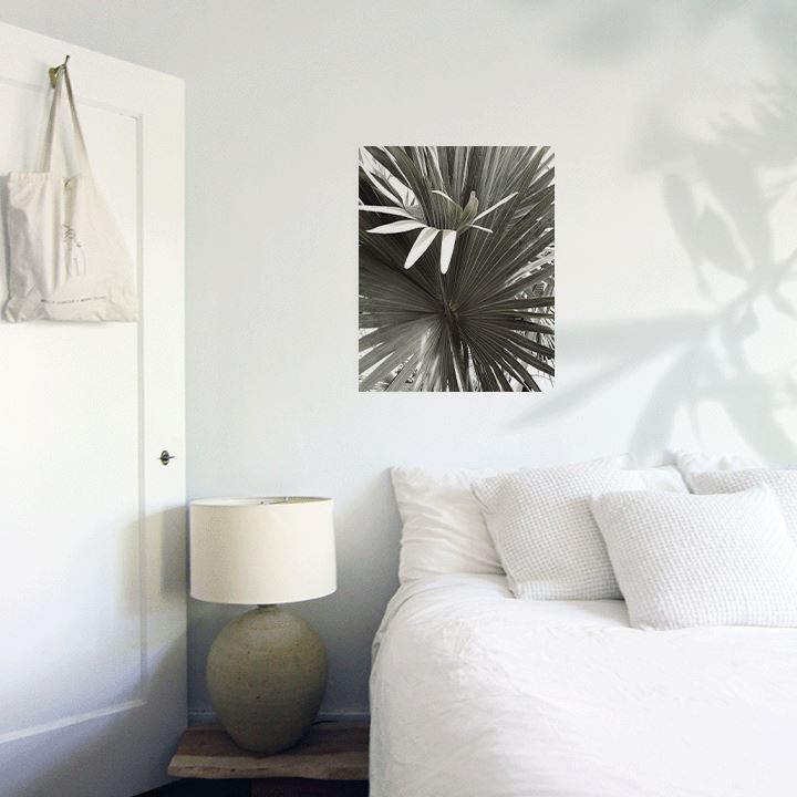 Fan Palm Art Print Prints Urbanwalls Adhesive Canvas 8" x 10"