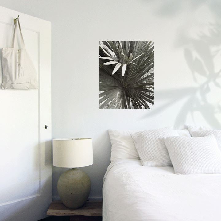 Fan Palm Art Print Prints Urbanwalls Adhesive Canvas 8" x 10" 
