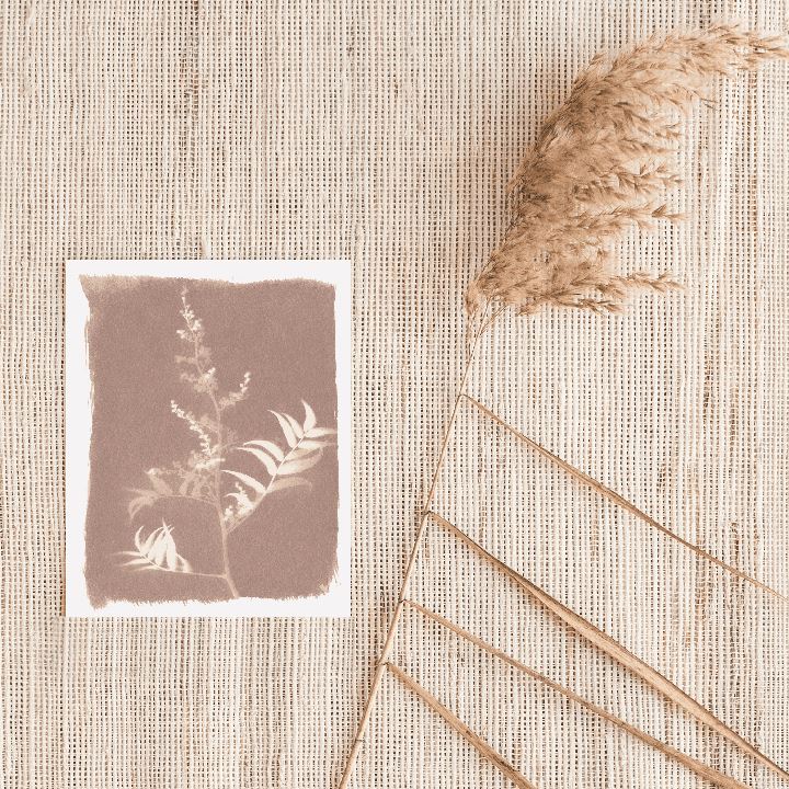 Fern Sun Art Print Prints Urbanwalls