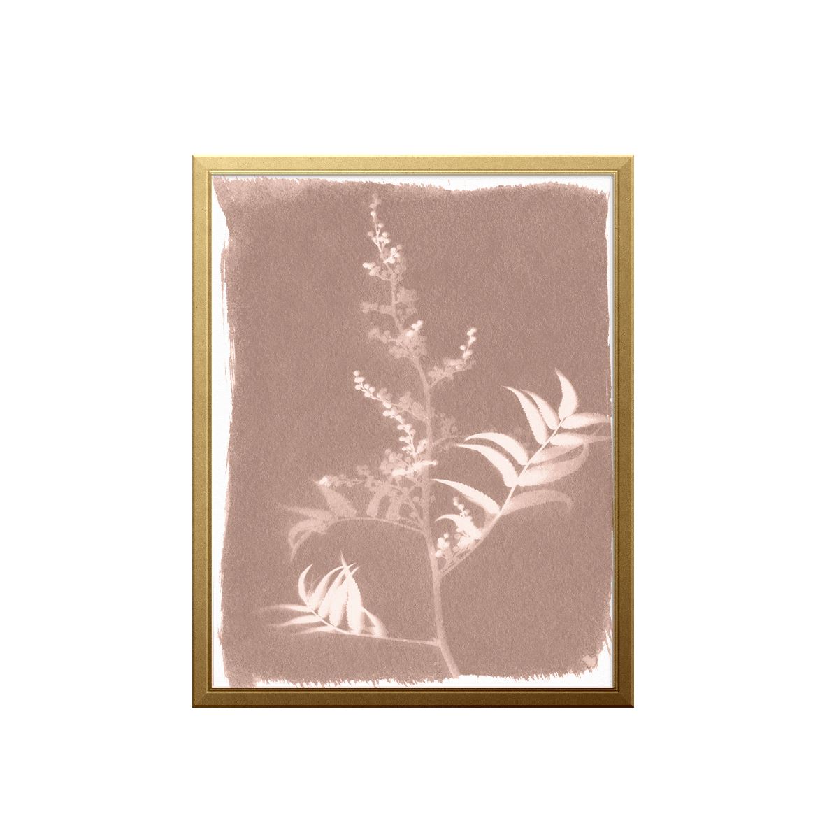 Fern Sun Art Print Prints Urbanwalls