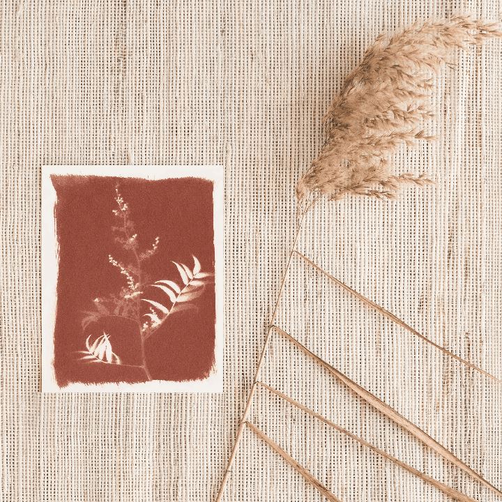 Fern Sun Art Print Prints Urbanwalls