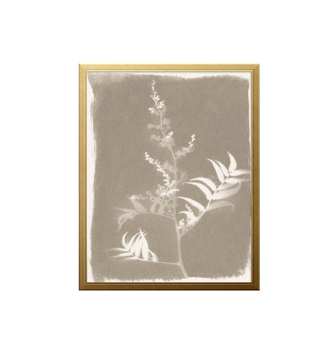 Fern Sun Art Print Prints Urbanwalls