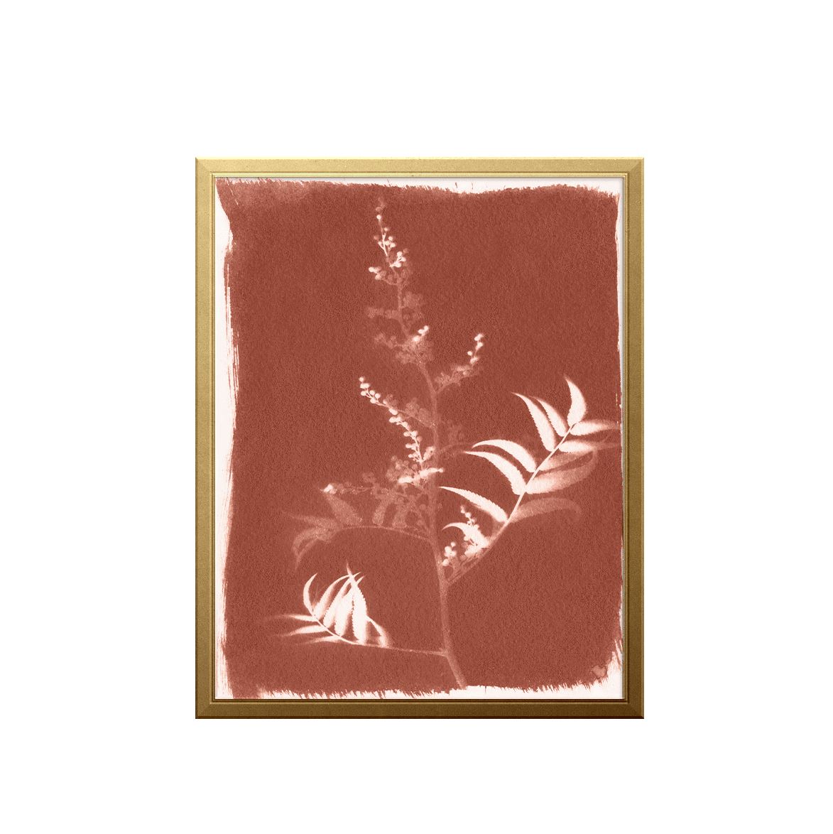 Fern Sun Art Print Prints Urbanwalls
