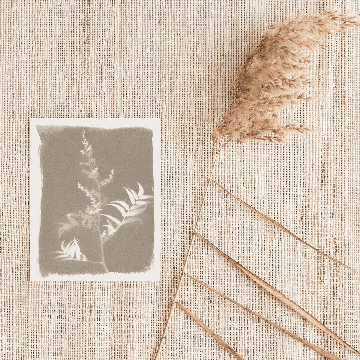 Fern Sun Art Print Prints Urbanwalls