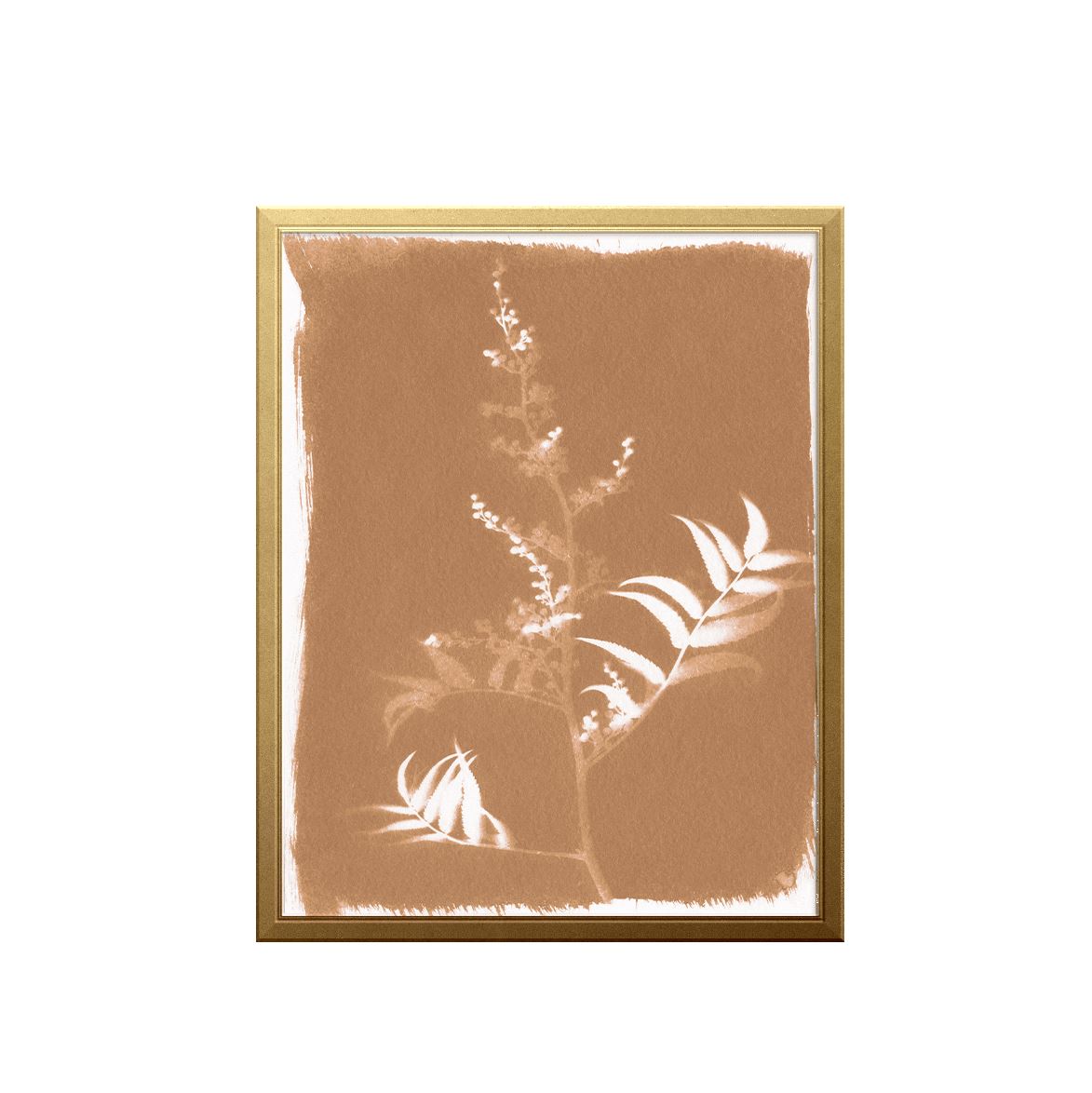 Fern Sun Art Print Prints Urbanwalls