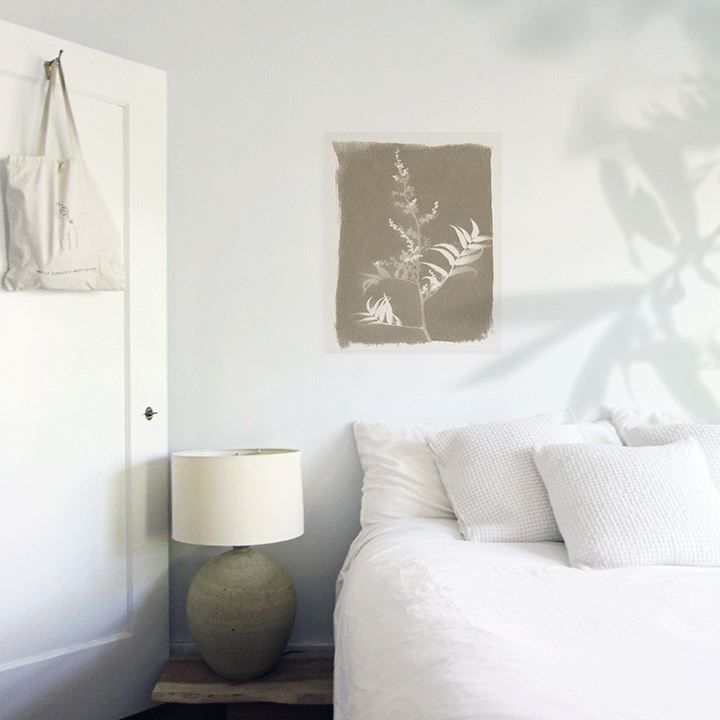 Fern Sun Art Print Prints Urbanwalls Adhesive Canvas Warm Grey 8" x 10"
