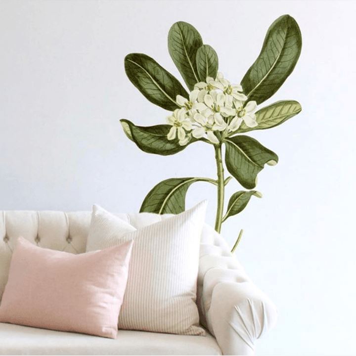Glossy Leaved Pittosporum Wall Decal Decals Urbanwalls