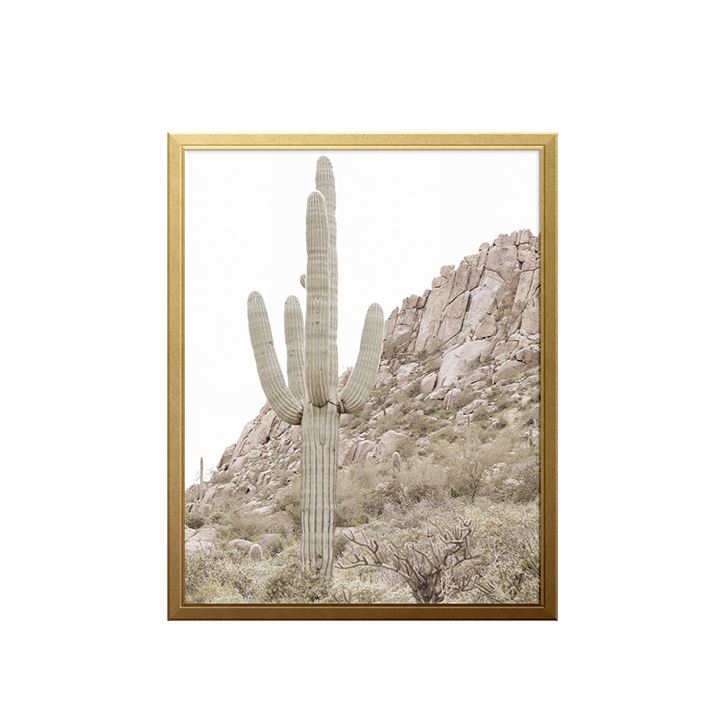 King Cactus Art Print Prints Urbanwalls