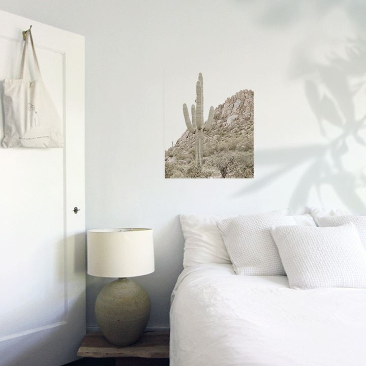 King Cactus Art Print Prints Urbanwalls Adhesive Canvas 8" x 10"