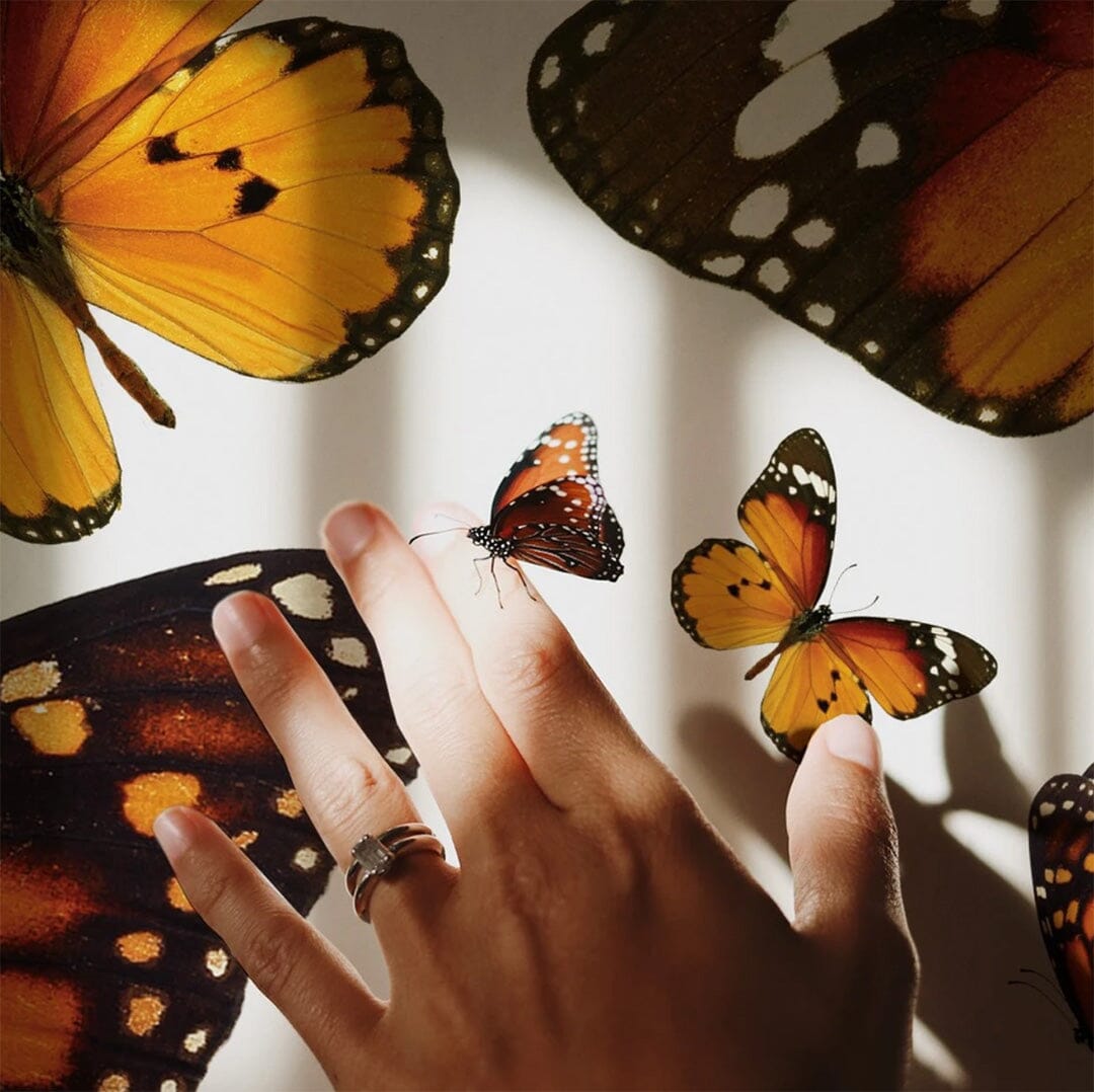 Madam Butterfly Wall Decals Decals Urbanwalls
