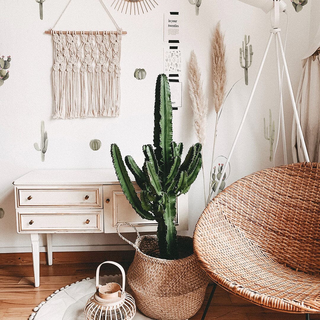 Mini Cactus Garden Wall Decals Decals Urbanwalls