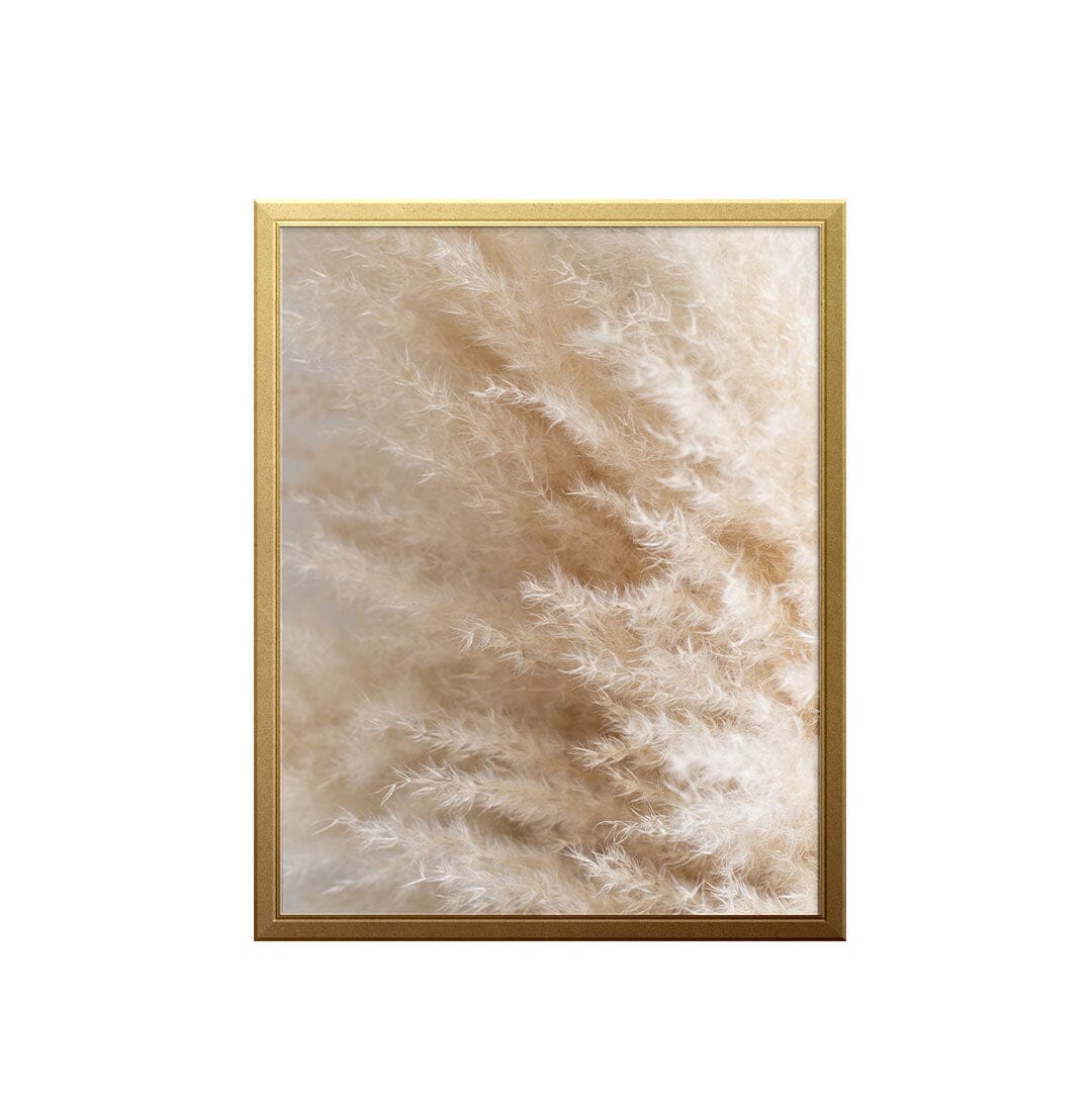 Pampas Breeze Art Print Prints Urbanwalls