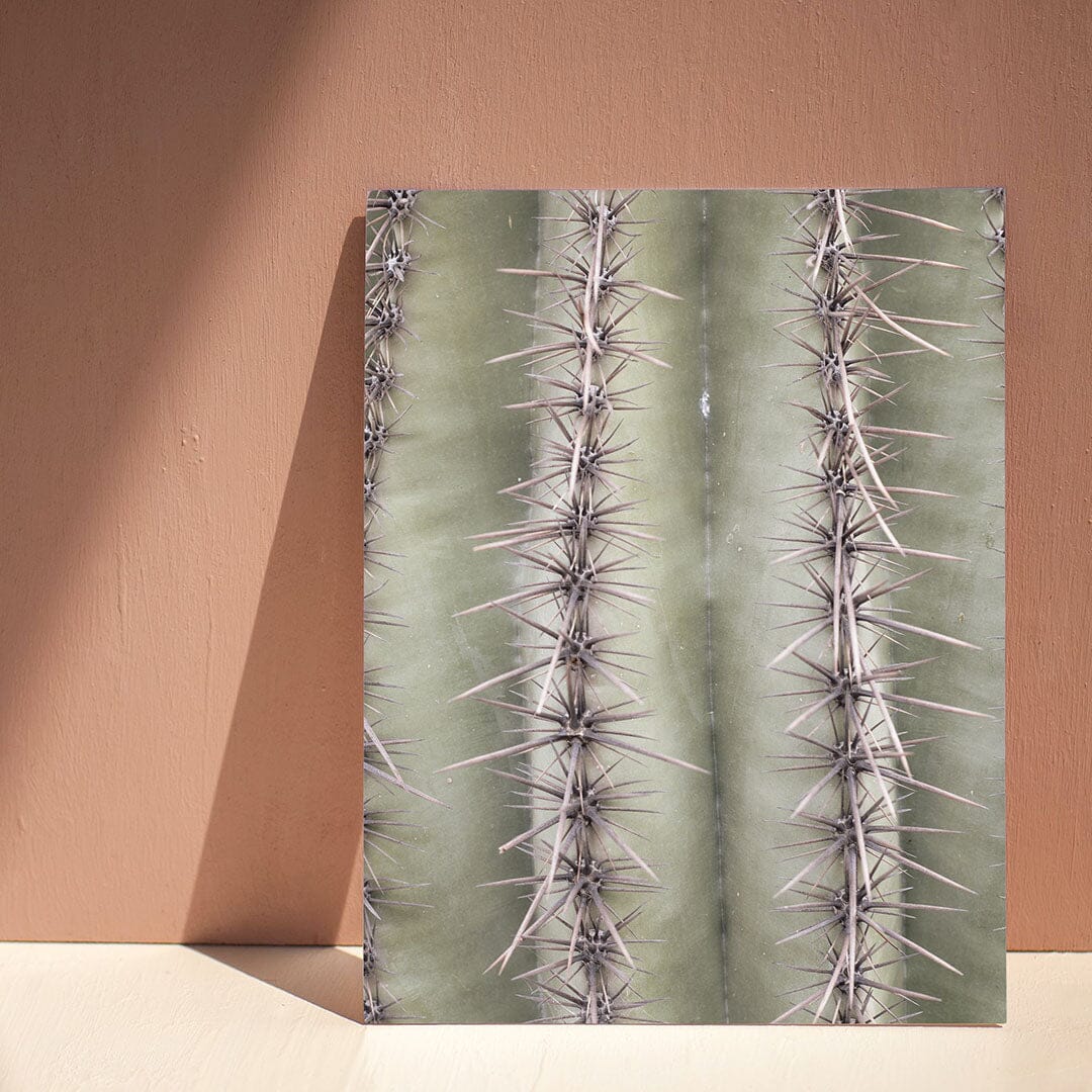 Saguaro Spines Art Print Prints Urbanwalls