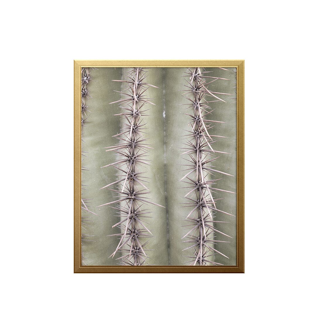 Saguaro Spines Art Print Prints Urbanwalls