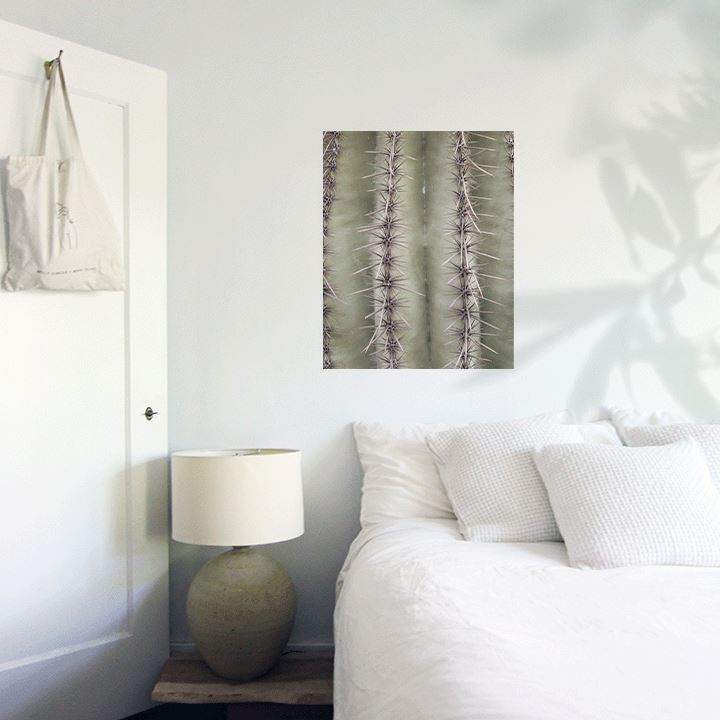 Saguaro Spines Art Print Prints Urbanwalls Adhesive Canvas 8" x 10"