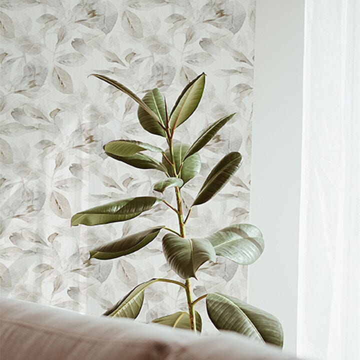 Silver Ficus Wallpaper Wallpaper Urbanwalls