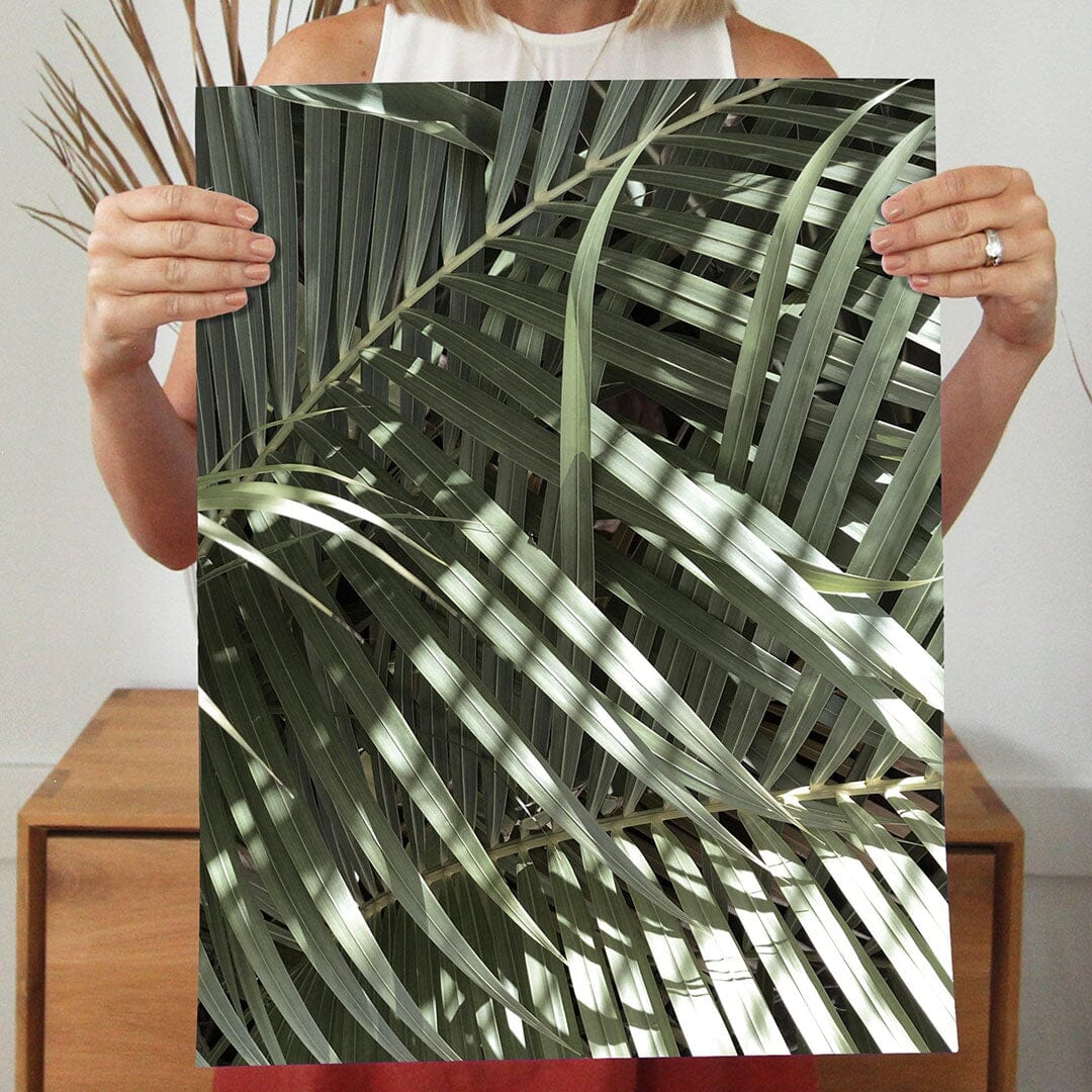 Summer Shadows Art Print Prints Urbanwalls