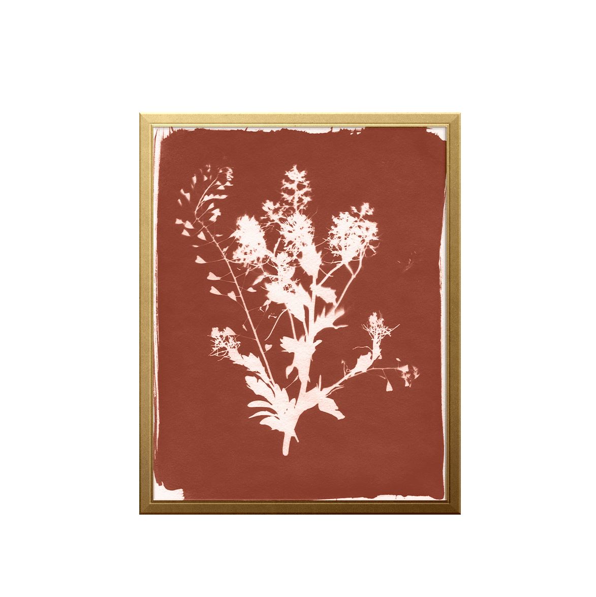Thistle Sun Art Print Prints Urbanwalls