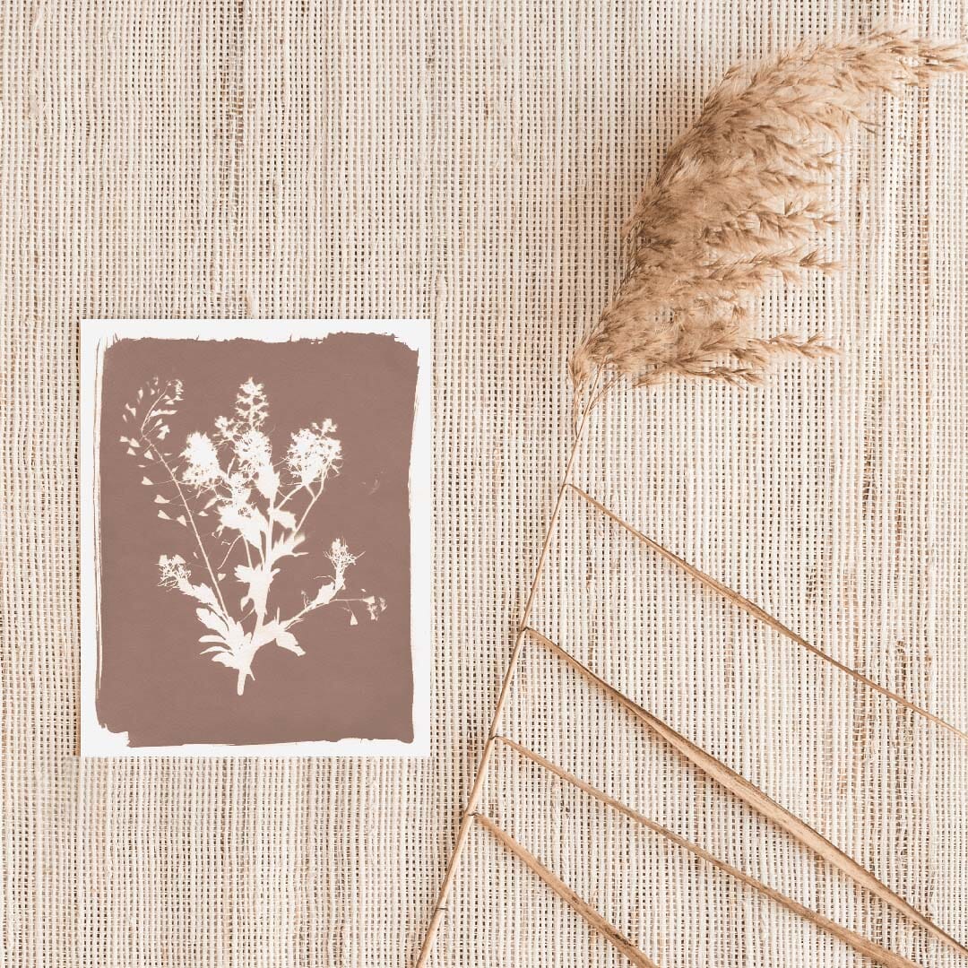 Thistle Sun Art Print Prints Urbanwalls
