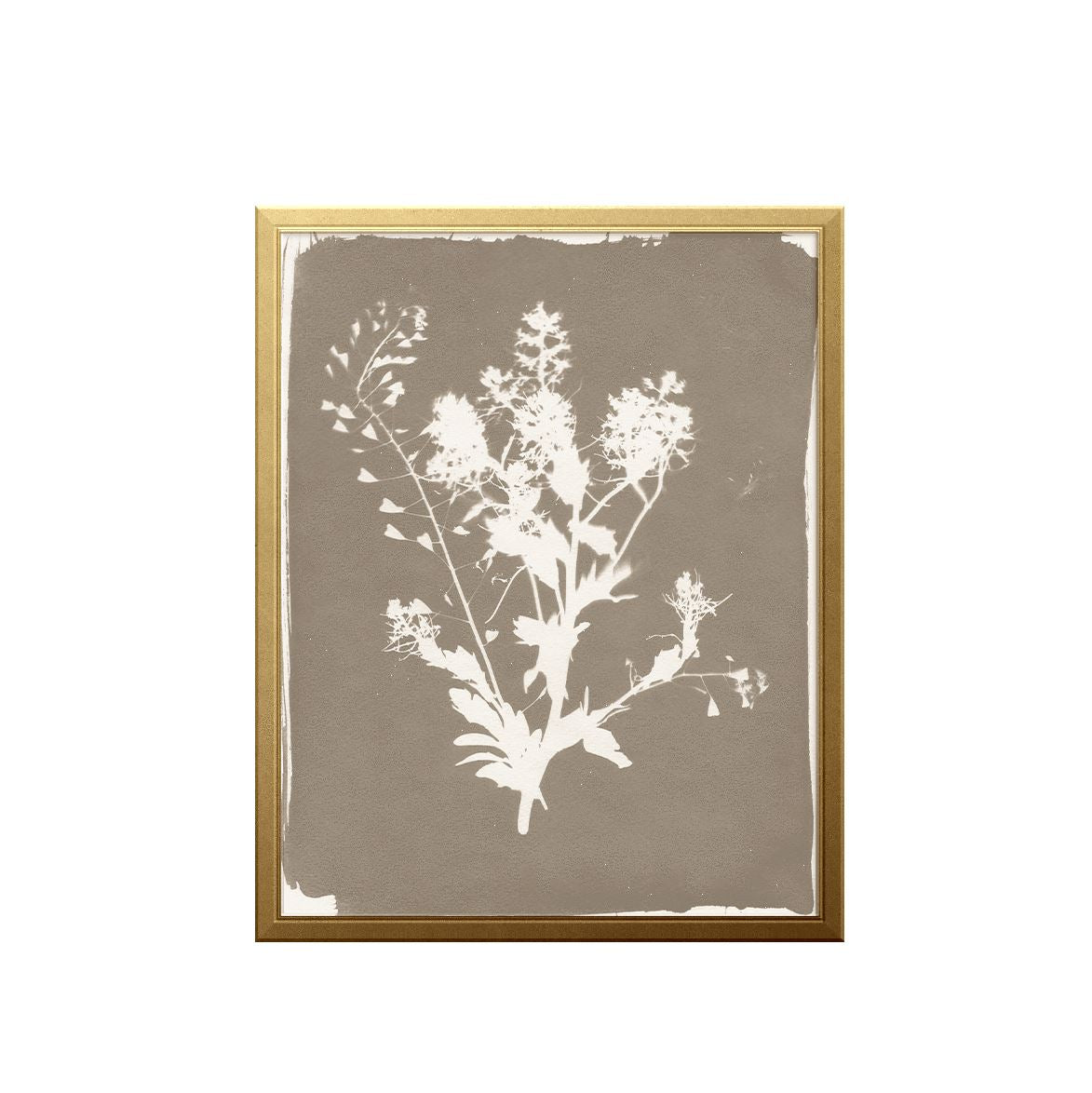 Thistle Sun Art Print Prints Urbanwalls