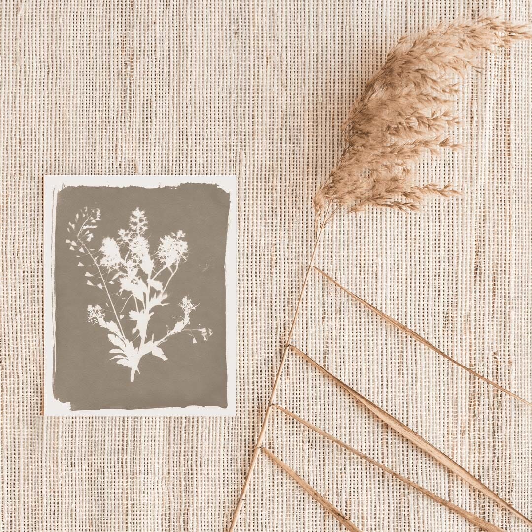 Thistle Sun Art Print Prints Urbanwalls