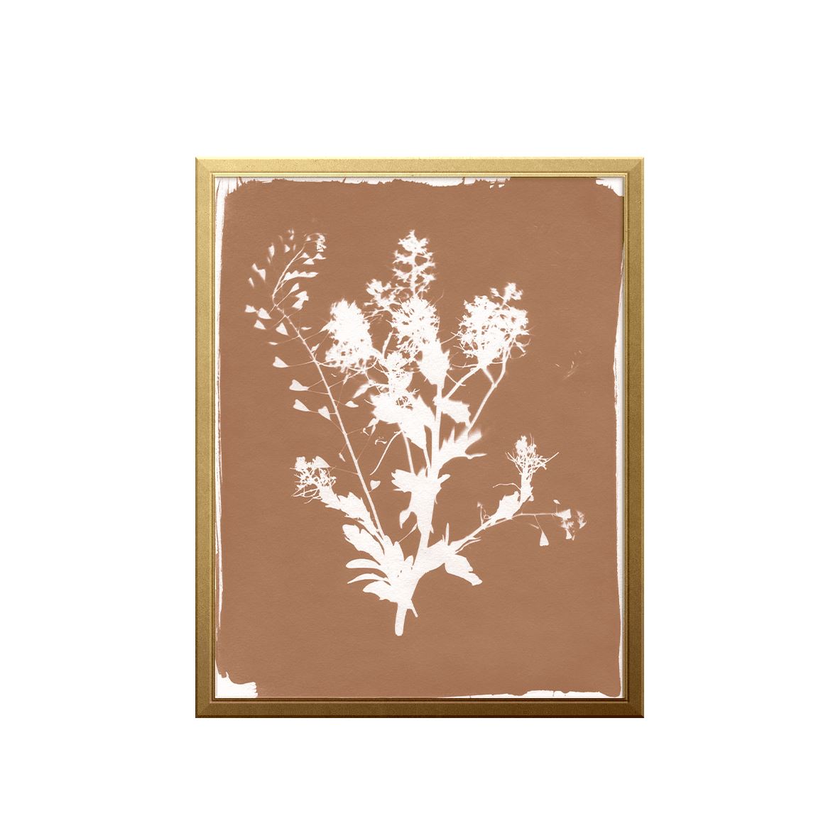Thistle Sun Art Print Prints Urbanwalls