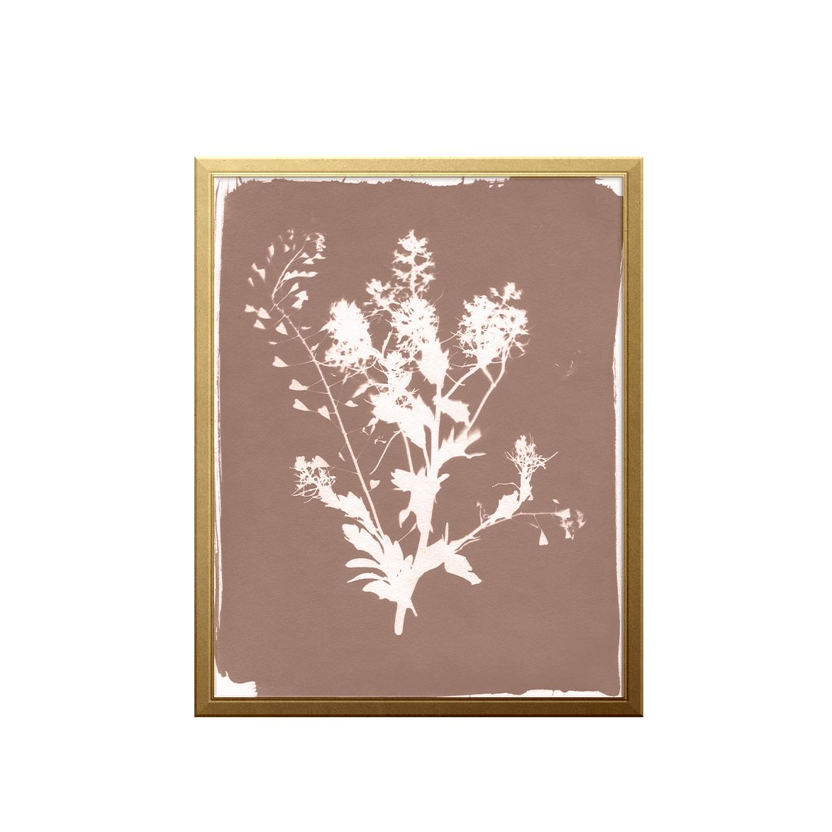 Thistle Sun Art Print Prints Urbanwalls