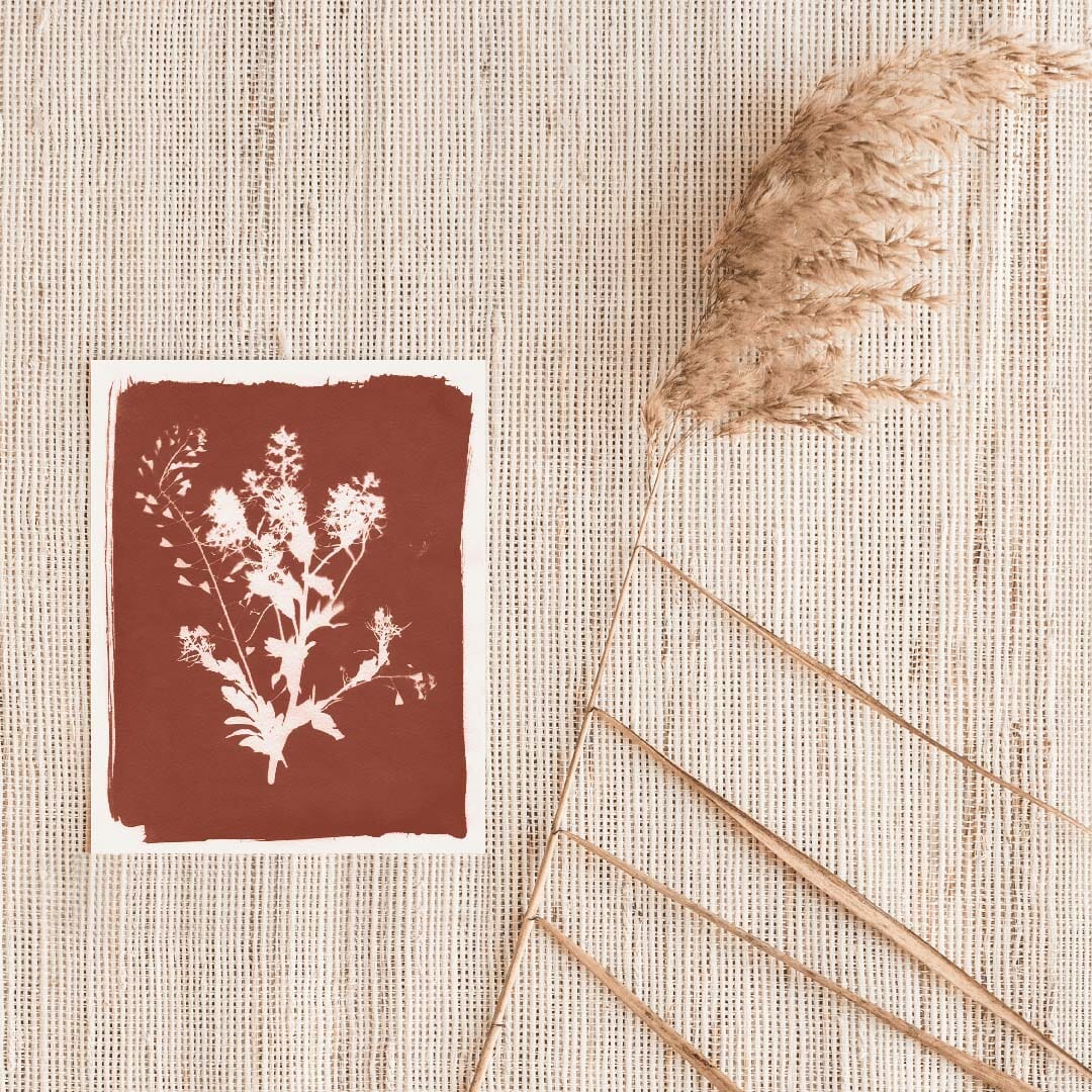 Thistle Sun Art Print Prints Urbanwalls